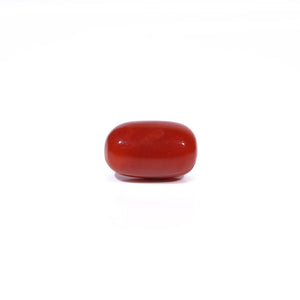 Red Coral - 3.26 Carat - Pramogh