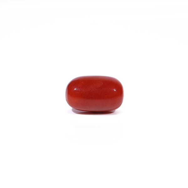Red Coral - 3.26 Carat - Pramogh