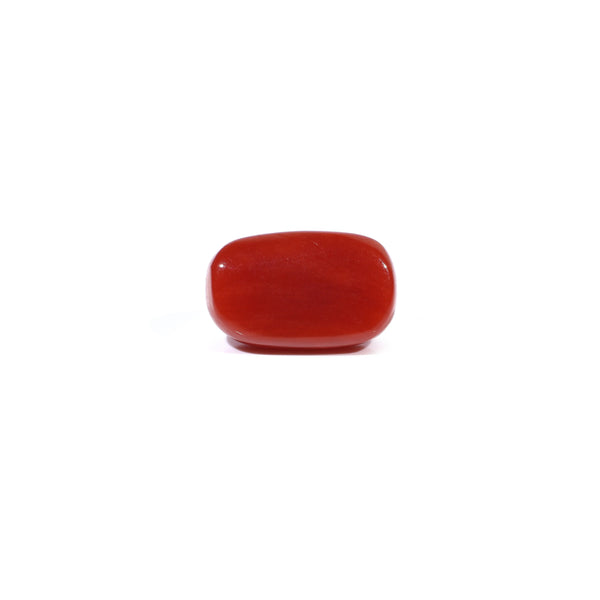 Red Coral - 3.26 Carat
