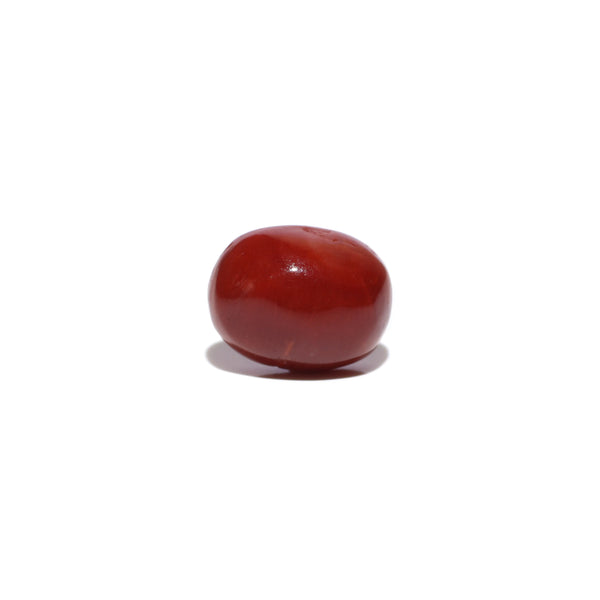 Red Coral - 3.34 Carat - Pramogh