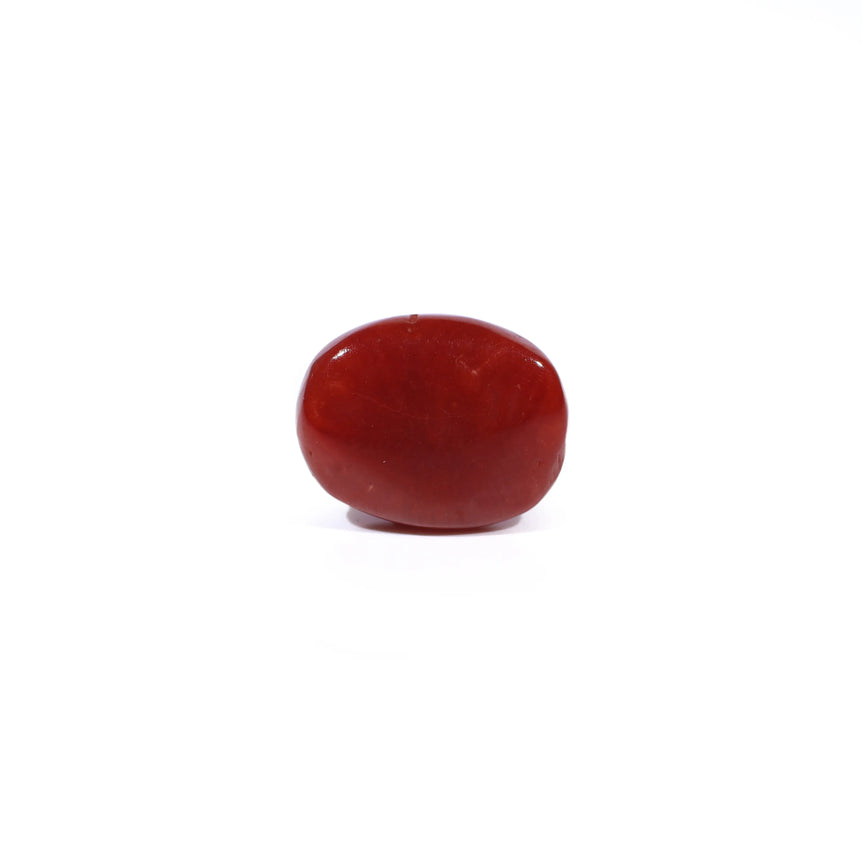Red Coral - 3.34 Carat