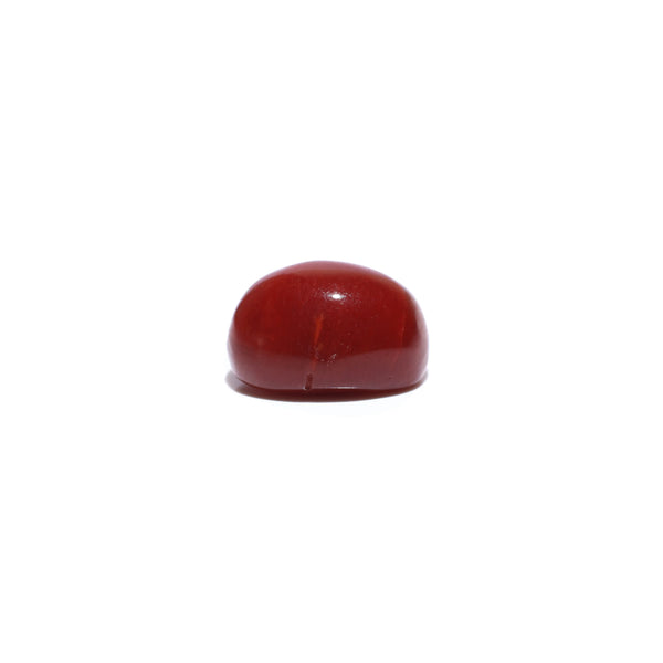 Red Coral - 3.34 Carat