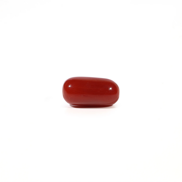 Red Coral - 3.76 Carat - Pramogh