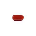 Red Coral - 3.76 Carat