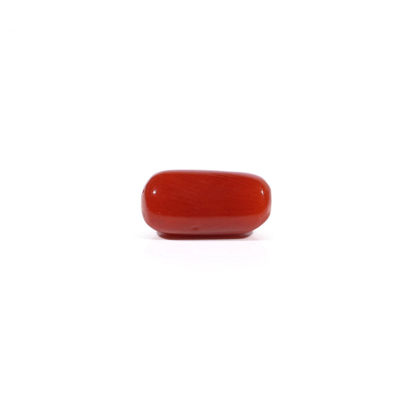 Red Coral - 3.76 Carat