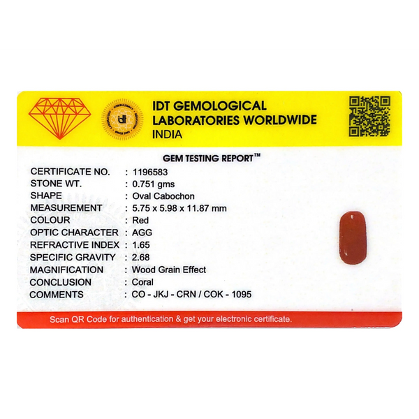 Red Coral - 3.76 Carat