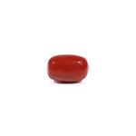 Red Coral - 3.3 Carat - Pramogh