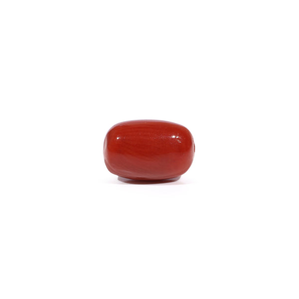 Red Coral - 3.3 Carat - Pramogh