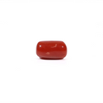 Red Coral - 3.03 Carat - Pramogh