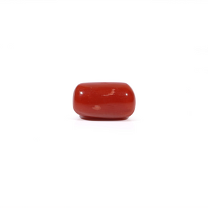Red Coral - 3.03 Carat - Pramogh