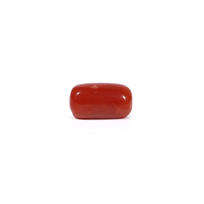 Red Coral - 3.03 Carat