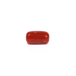 Red Coral - 3.03 Carat