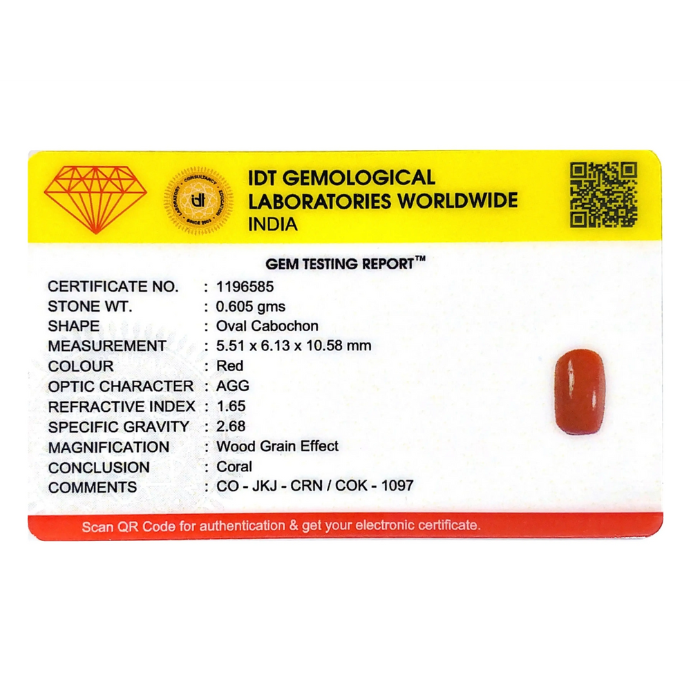 Red Coral - 3.03 Carat