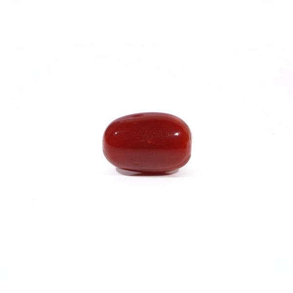 Red Coral - 3 Carat - Pramogh