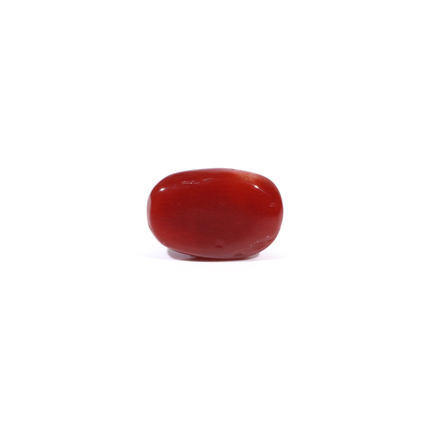 Red Coral - 3 Carat
