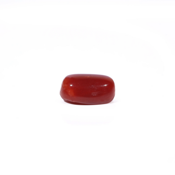 Red Coral - 3 Carat