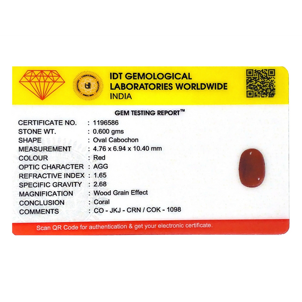 Red Coral - 3 Carat