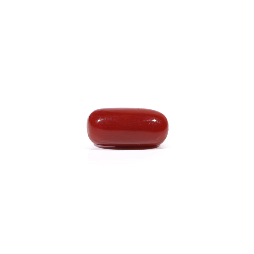 Red Coral - 3.84 Carat - Pramogh