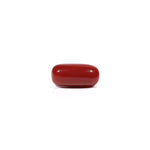 Red Coral - 3.84 Carat - Pramogh