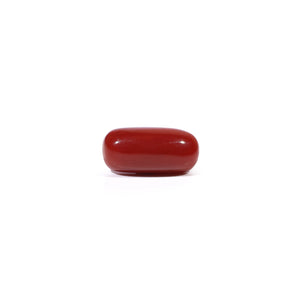 Red Coral - 3.84 Carat - Pramogh