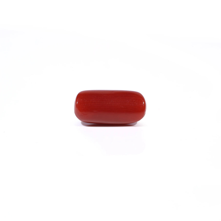 Red Coral - 3.84 Carat