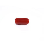 Red Coral - 3.84 Carat