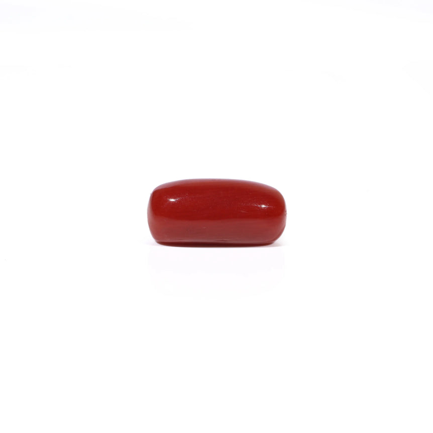 Red Coral - 3.84 Carat