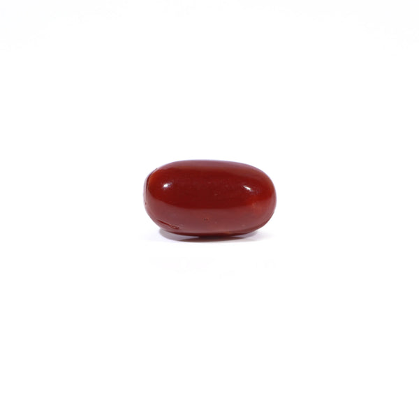 Red Coral - 3.74 Carat - Pramogh