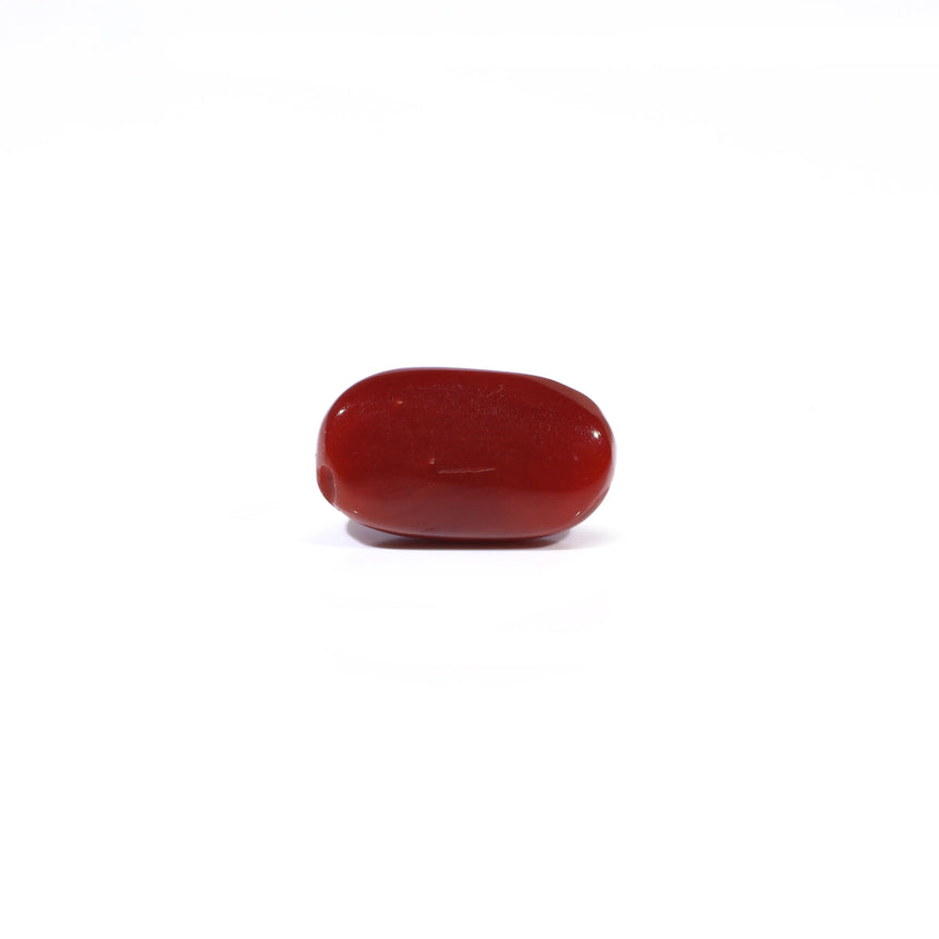 Red Coral - 3.74 Carat