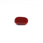 Red Coral - 3.74 Carat