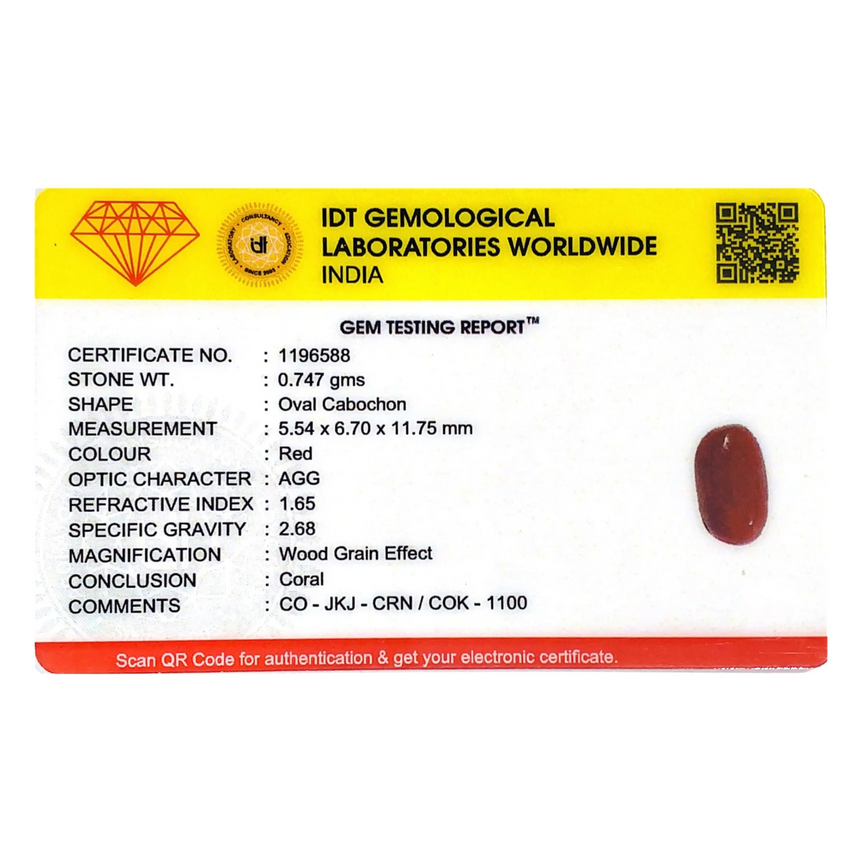 Red Coral - 3.74 Carat