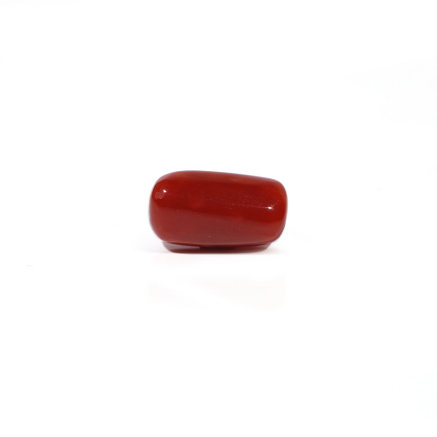 Red Coral - 3.86 Carat - Pramogh