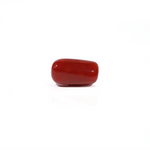 Red Coral - 3.86 Carat - Pramogh