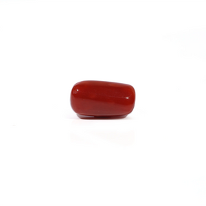 Red Coral - 3.86 Carat - Pramogh
