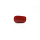 Red Coral - 3.86 Carat - Pramogh
