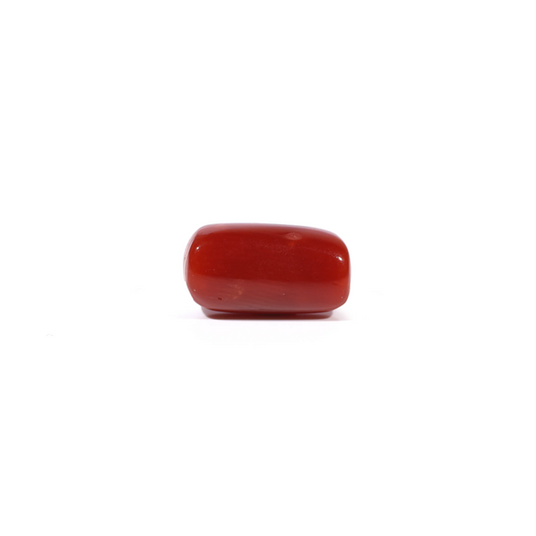 Red Coral - 3.86 Carat