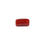 Red Coral - 3.86 Carat