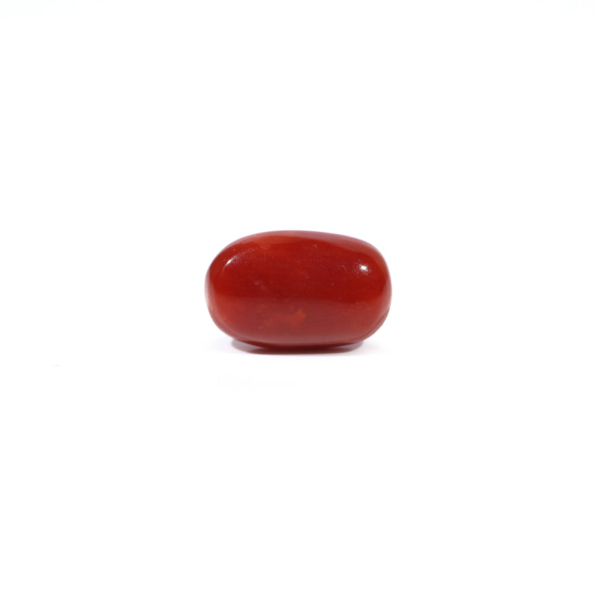 Red Coral - 3.6 Carat - Pramogh