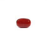 Red Coral - 3.6 Carat - Pramogh