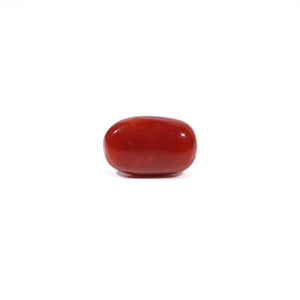 Red Coral - 3.6 Carat - Pramogh