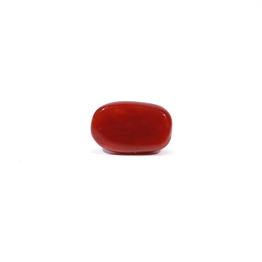 Red Coral - 3.6 Carat
