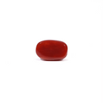 Red Coral - 3.6 Carat