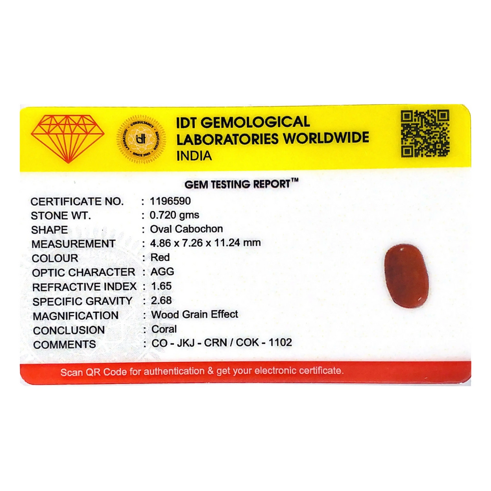 Red Coral - 3.6 Carat