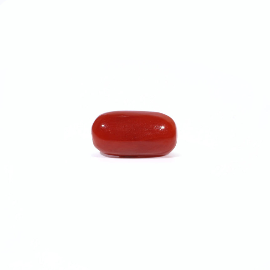 Red Coral - 3.09 Carat - Pramogh