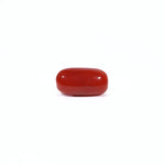 Red Coral - 3.09 Carat - Pramogh