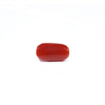 Red Coral - 3.09 Carat