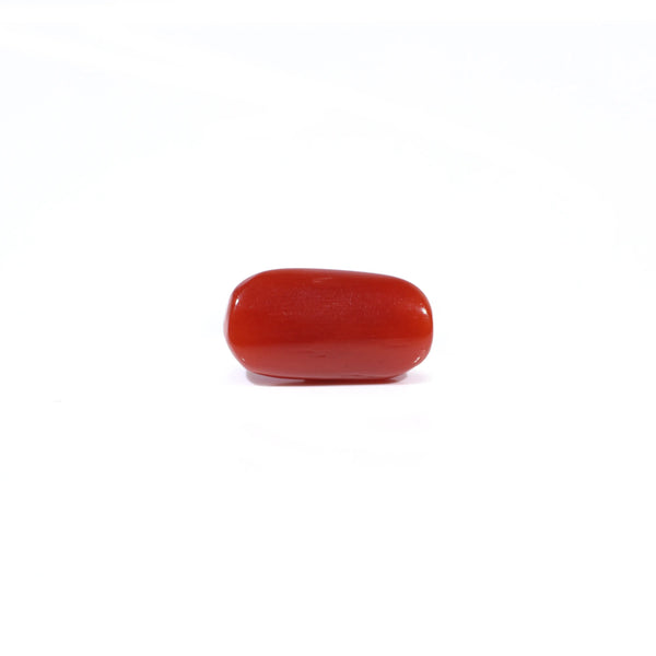 Red Coral - 3.09 Carat