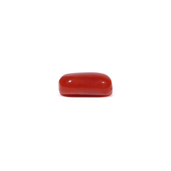 Red Coral - 3.09 Carat