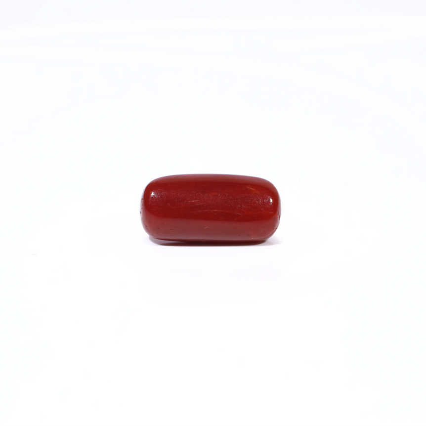 Red Coral - 4.22 Carat - Pramogh