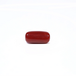 Red Coral - 4.22 Carat - Pramogh